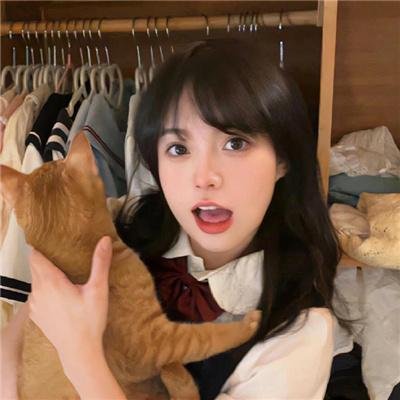 野猫痴情