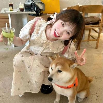 合约情人